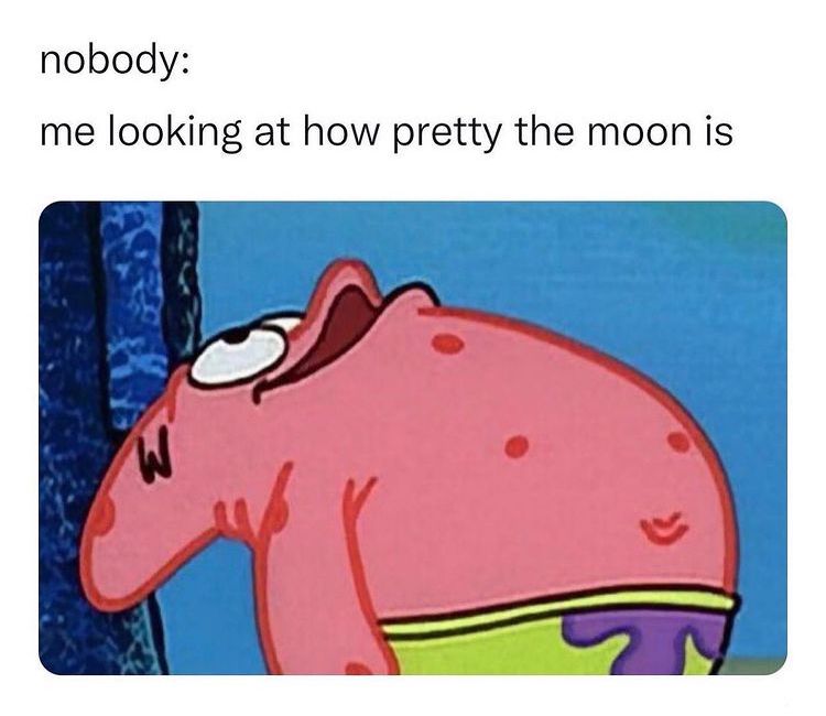 Patrick looking at the moon.